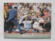 カルビープロ野球カード,78年 | キンキーズ オンラインショップ