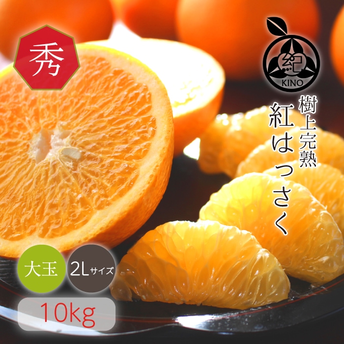 紅八朔【 秀品 2L サイズ(大玉）10kg 】 | みかん,紅八朔 | 紀州の旬