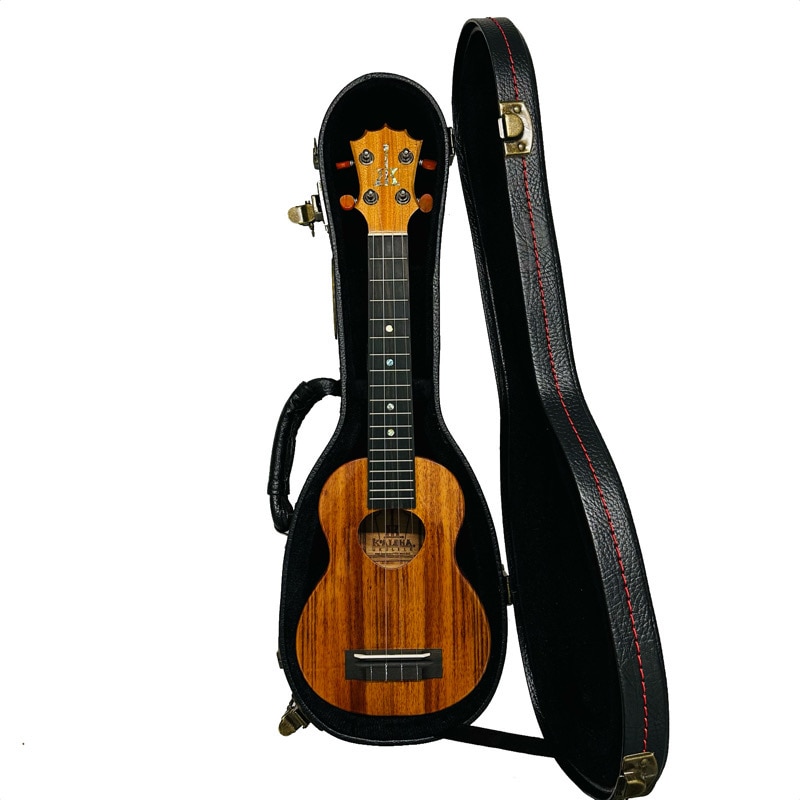 CAVAQUINHO カヴァキーニョ ケース パンデイロ パーカッション 2026年