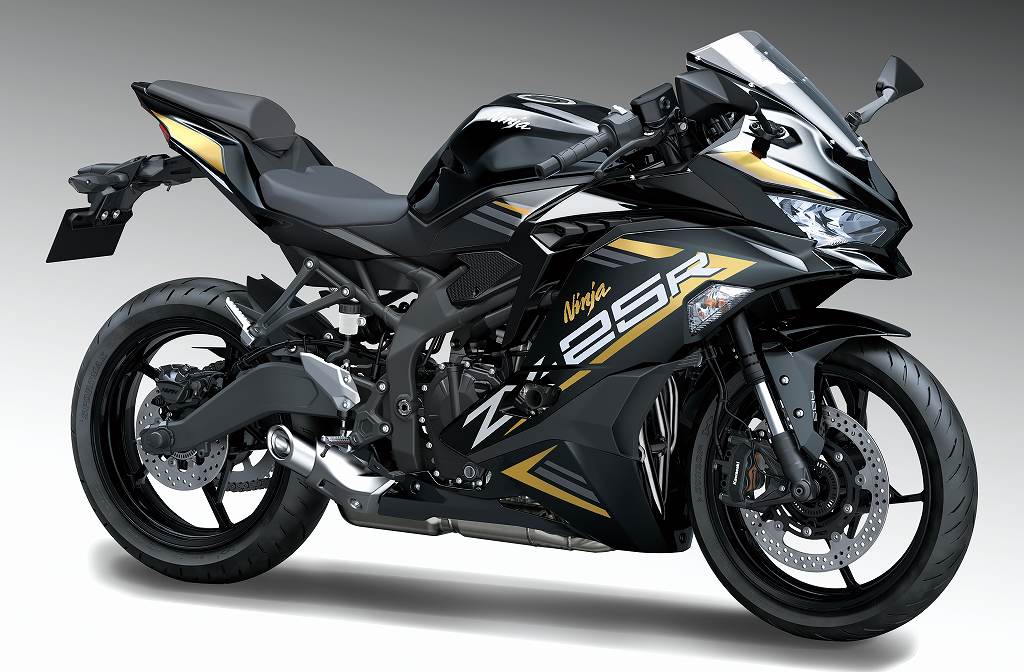 ZX-25R デカールシリーズ DK3【受注生産】 | すべての商品 | K's-STYLE