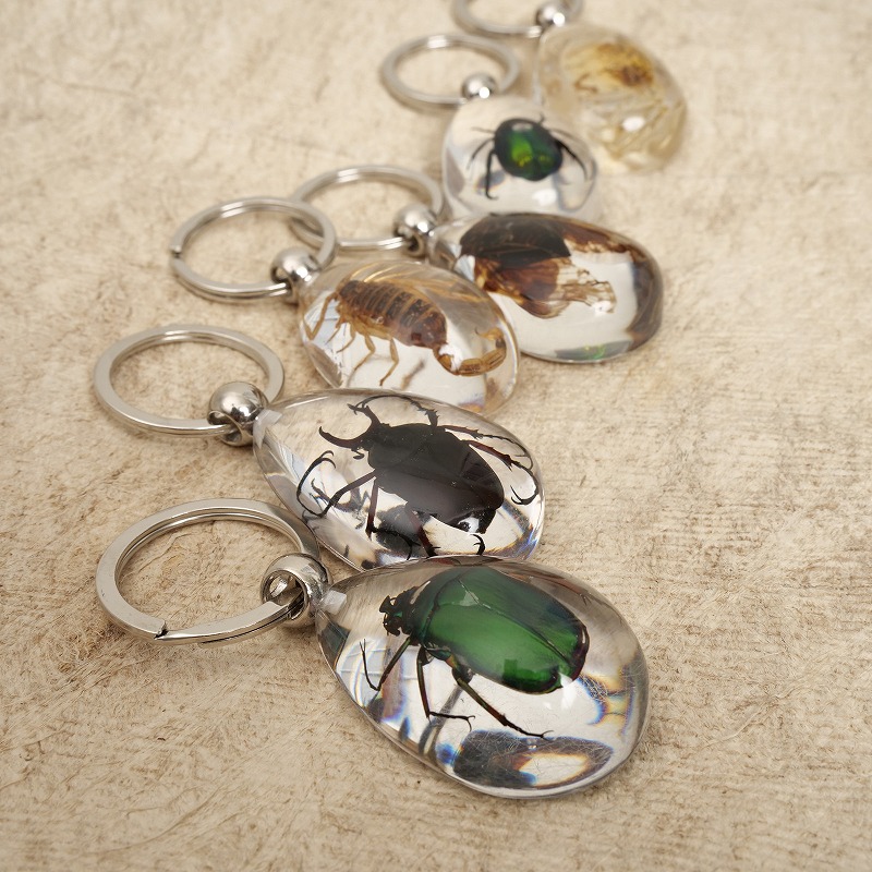 虫キーホルダー 【メール便可】｜マライカ公式通販