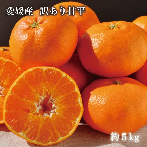 送料無料】【訳あり】愛媛県産 甘平(かんぺい)5kg サイズおまかせ(M-3L