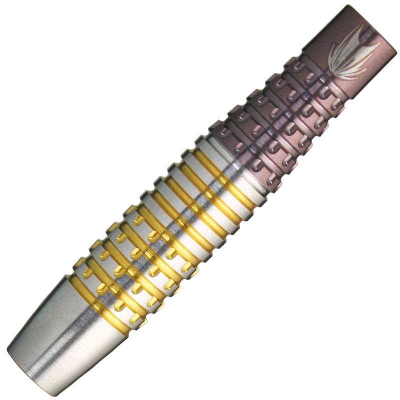 target】 ターゲットハードダーツ パワー9FIVE G3スティール24gTaylor