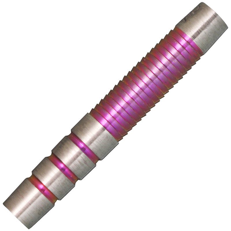 レッドドラゴン ピーターライト ダブル ワールドチャンピオン SE