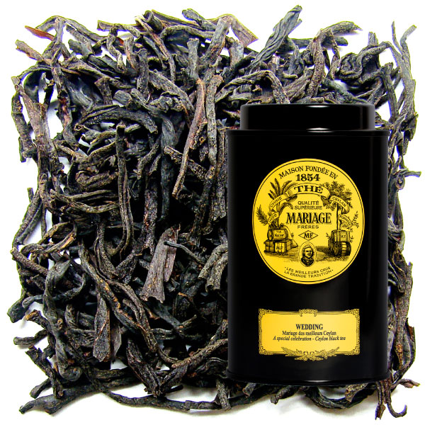 PRINCE DE COLOMBO / プランス ドゥ コロンボ | アイコニック厳選銘柄