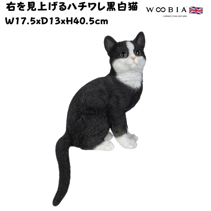 置物 右を見上げるハチワレ黒白猫 ネコ 高さ40.5cm woobia ウービア