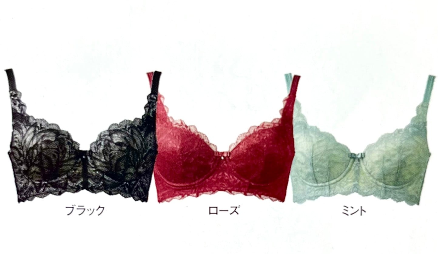 ディバージュリュクス ブラジャー(全3色) DivageLUXE｜MIYABI