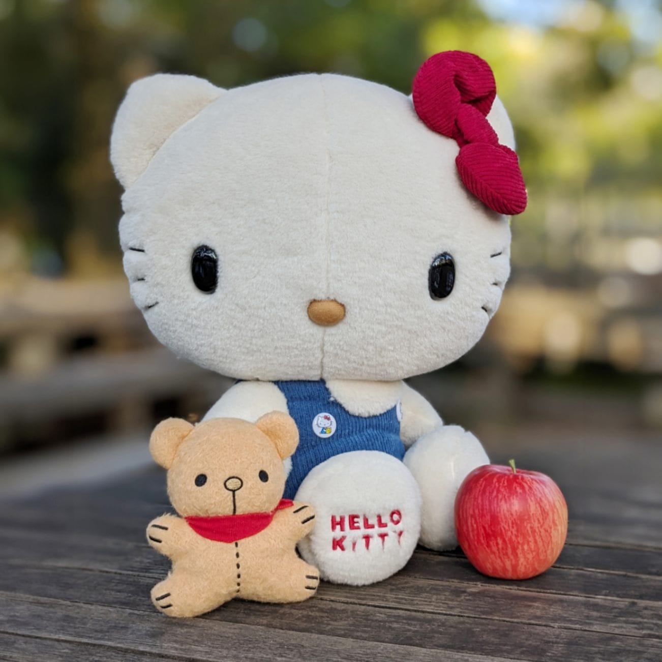 ハローキティ クラシック Lセット