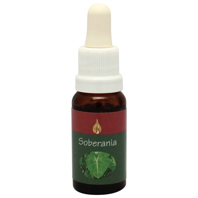 ブランド一覧,アラレタマエッセンス | NATURE WORLD