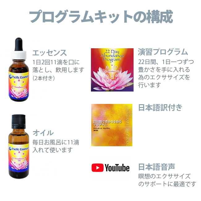 アバンダンスプログラムセット(日本語訳付) | ブランド一覧