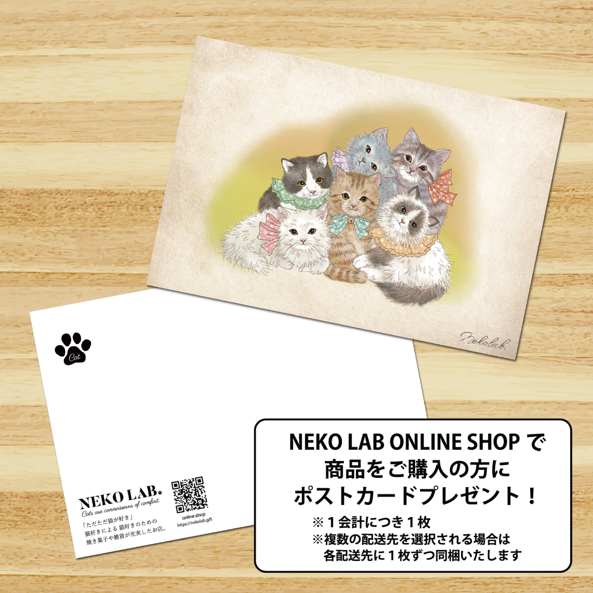 第二弾コラボ】トコロコムギ | オハナの妖精にゃんこクッキー缶