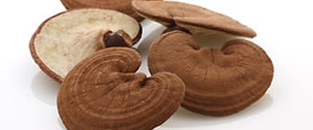 霊芝（130g） | 健康食品 | 健康郷土食品のお店 近江の館ネットショップ