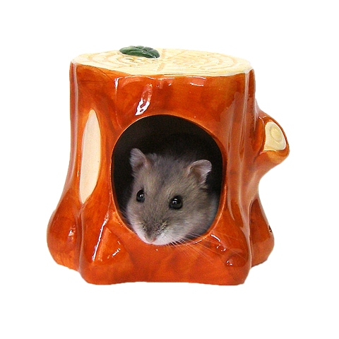 切株のお部屋 小/ドワーフハムスター ジャンガリアン ロボロフスキー