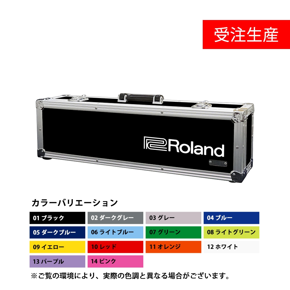 受注生産・代引不可】TB-AE10（AE-10専用ハードケース）