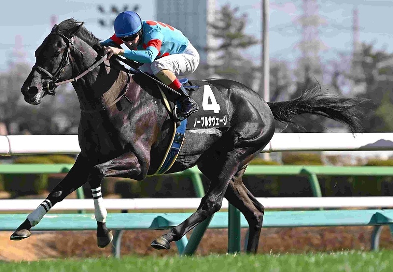 R8・水仙賞レースパネル ノーブルサヴェージ | サンスポe-shop