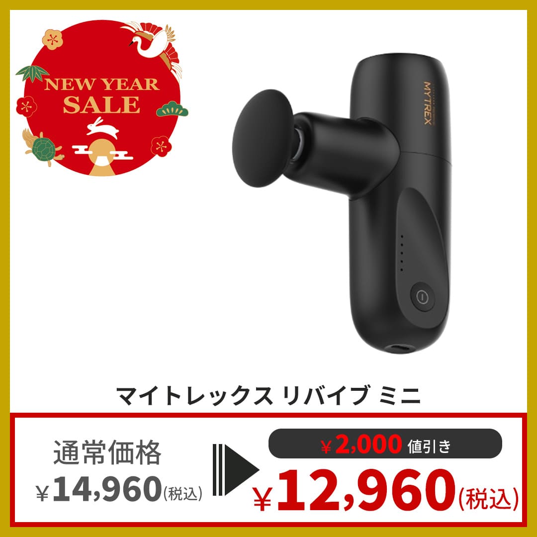 マイトレックス リバイブ ミニ (MYTREX REBIVE