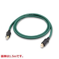 デジタルケーブル,HS-LINKケーブル(ACCUPHASE) | オーディオ・音響の