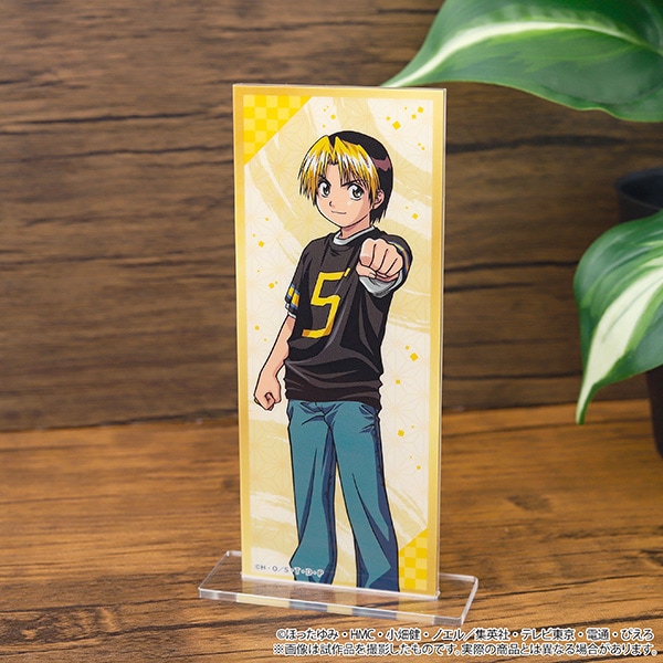 ヒカルの碁 メタルバッジコレクション Revival【BOX】 | グッズ 通販