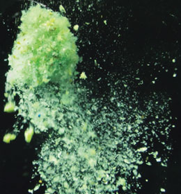 セットガン | つれるエサづくり一筋、マルキユー株式会社の公式サイト