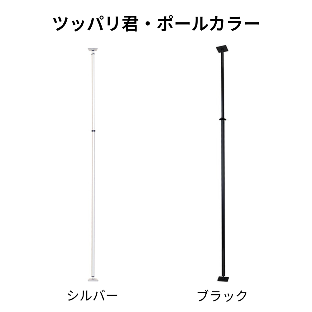 アルミポール・ツッパリ君ショート/スノボー/スケート用セット( 可動