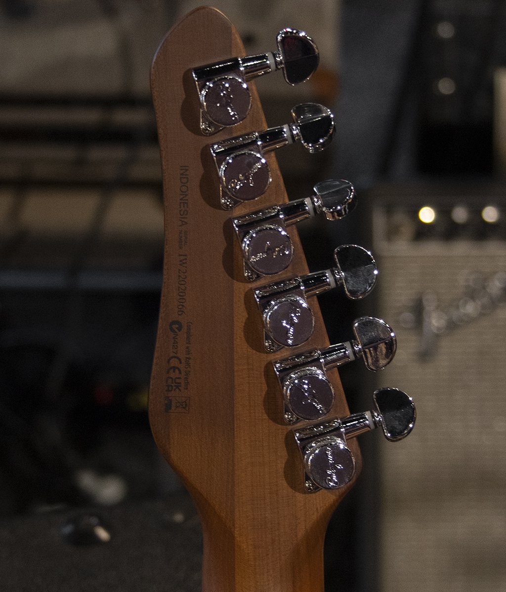 Balaguer The Thicket Standard Gloss Pastel Green Electric Guitar