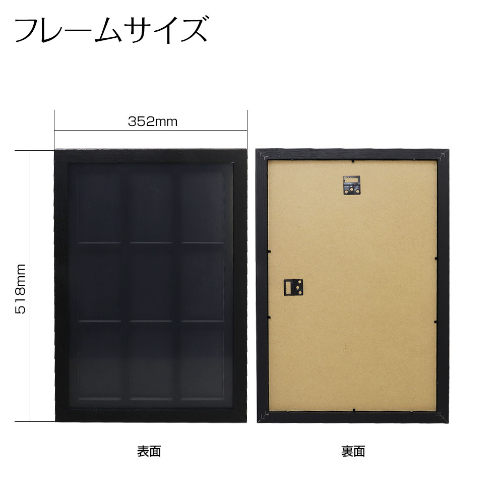 PSA鑑定品用ピクチャーフレーム TCG-FRA | マックスウィン | MAXWIN