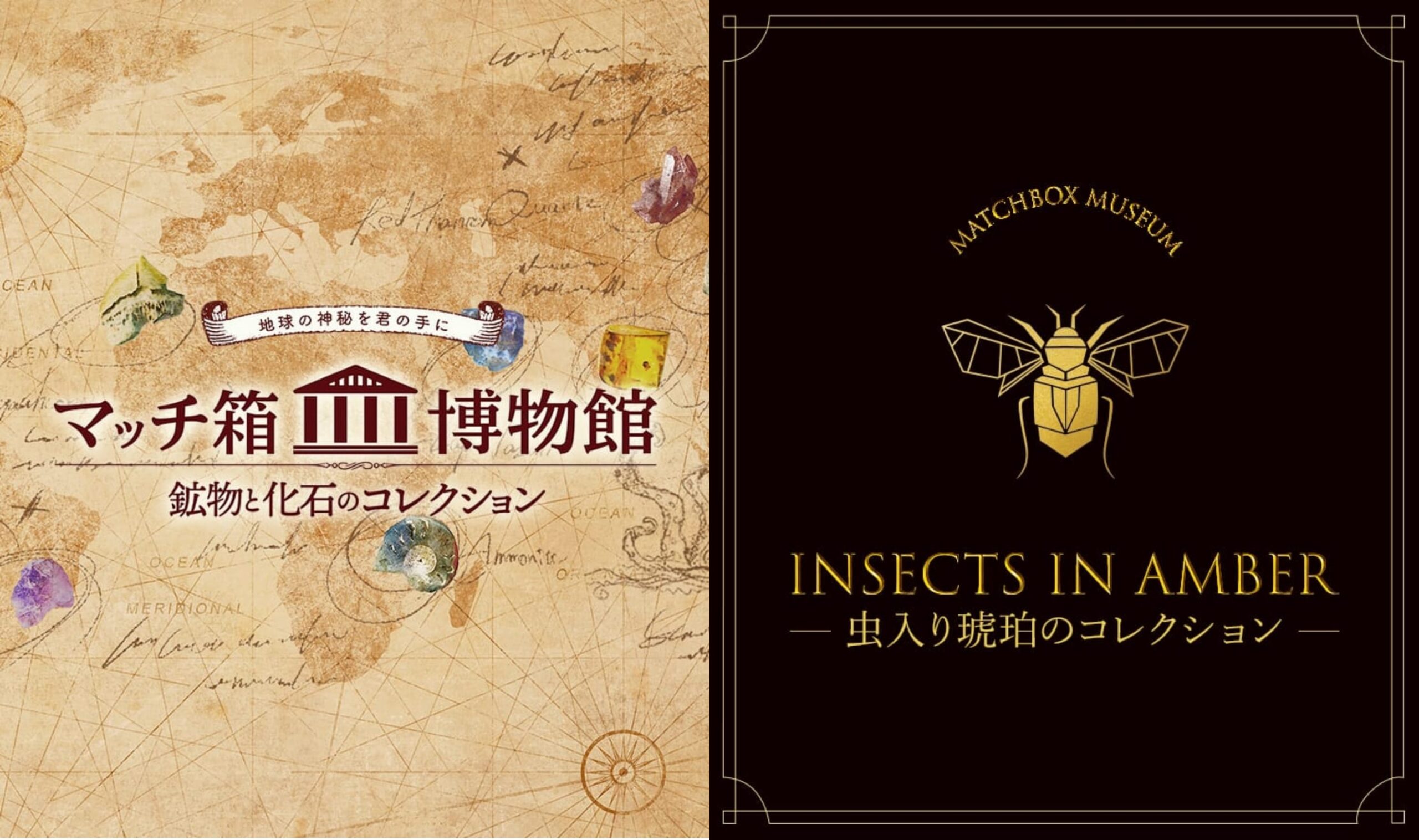 虫入り琥珀のコレクション | マッチ箱博物館