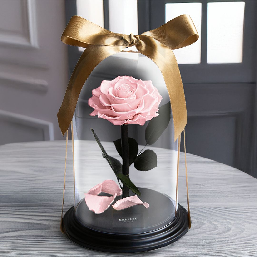 デスティニーローズ(1本立ち)/フェミニンピンク （プリザーブド