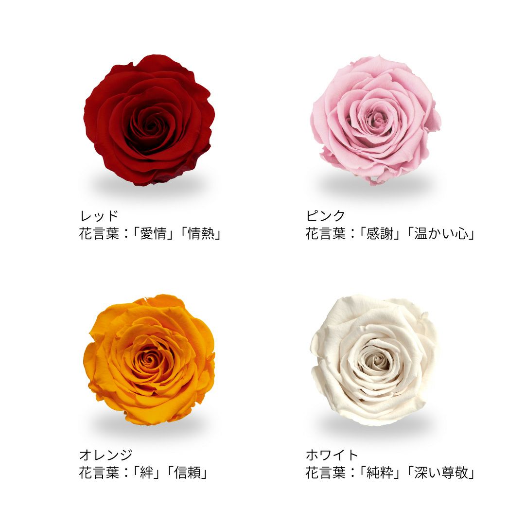 ブリリアント(M)/ホワイト （プリザーブドフラワー） | 最高級