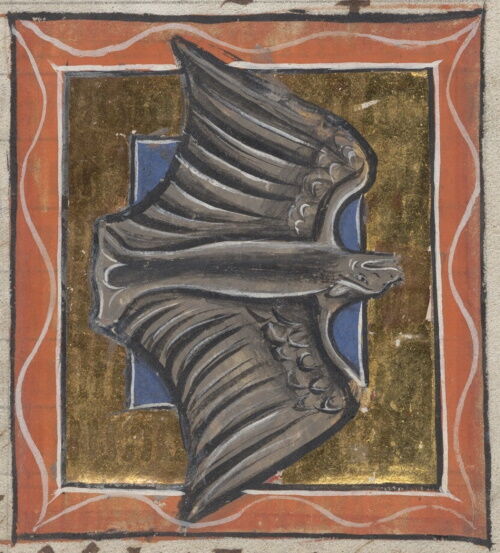 中世装飾写本のコウモリの挿絵12点。謎生物と化した、シュールでゆるー