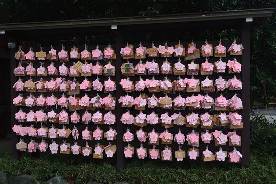 絵馬は桜型でピンク - Picture of Sakuragi Shrine, Noda - Tripadvisor