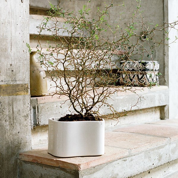 Artek Riihitie plant pot A, small, white gloss | Finnish Design Shop