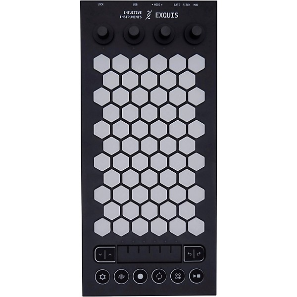 Intuitive Instruments Exquis MPE MIDI/CV Controller Black | Guitar
