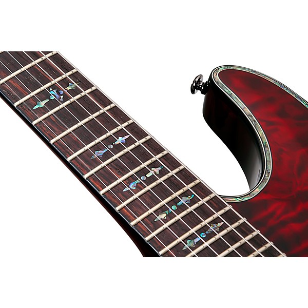 Schecter Guitar Research Hellraiser C-1 With Floyd Rose Sustaniac