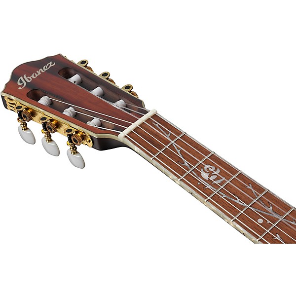 Open Box Ibanez TOD10N Tim Henson Signature Nylon Acoustic