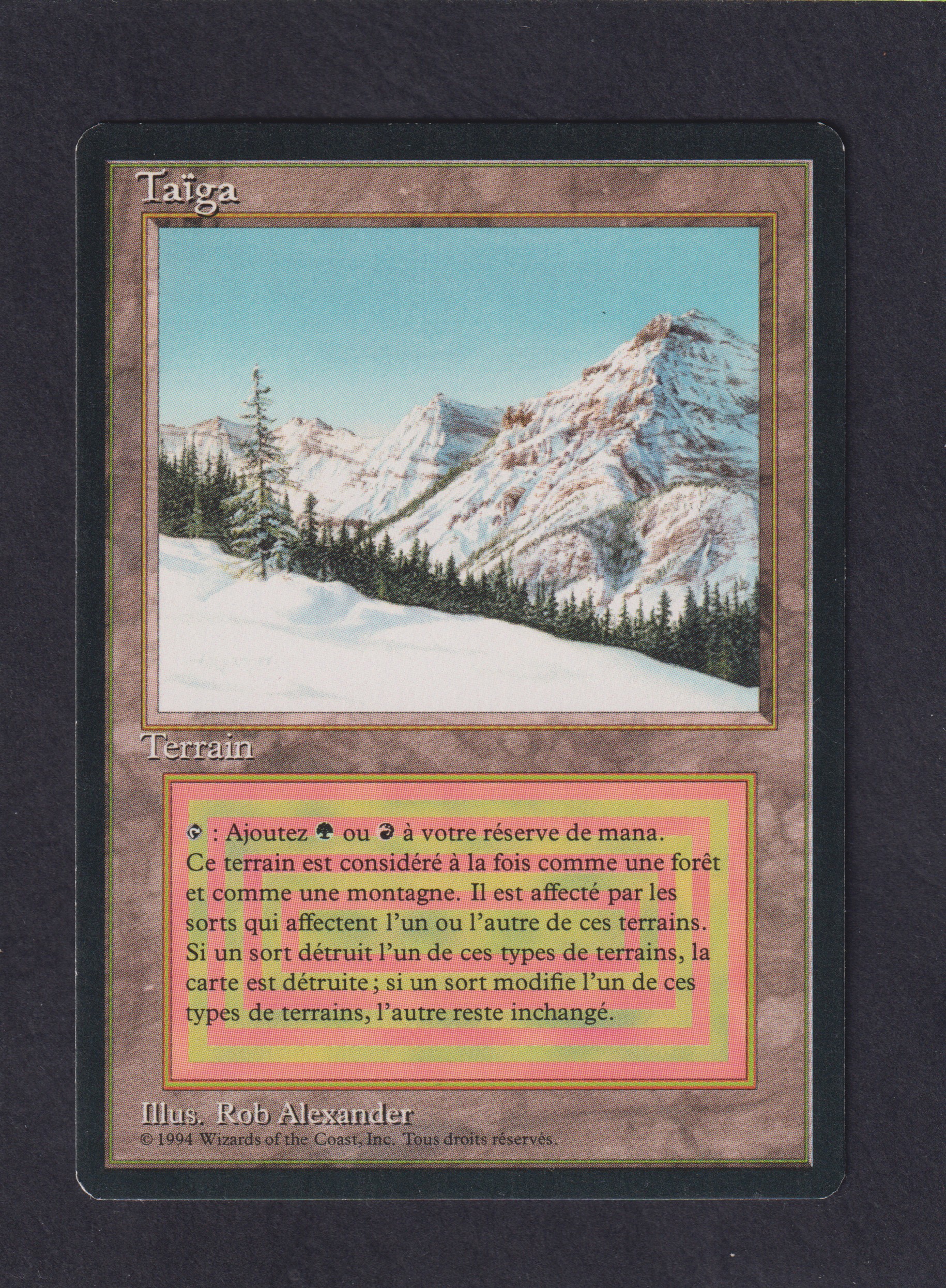 Taiga - Magic card (8403) | Playin