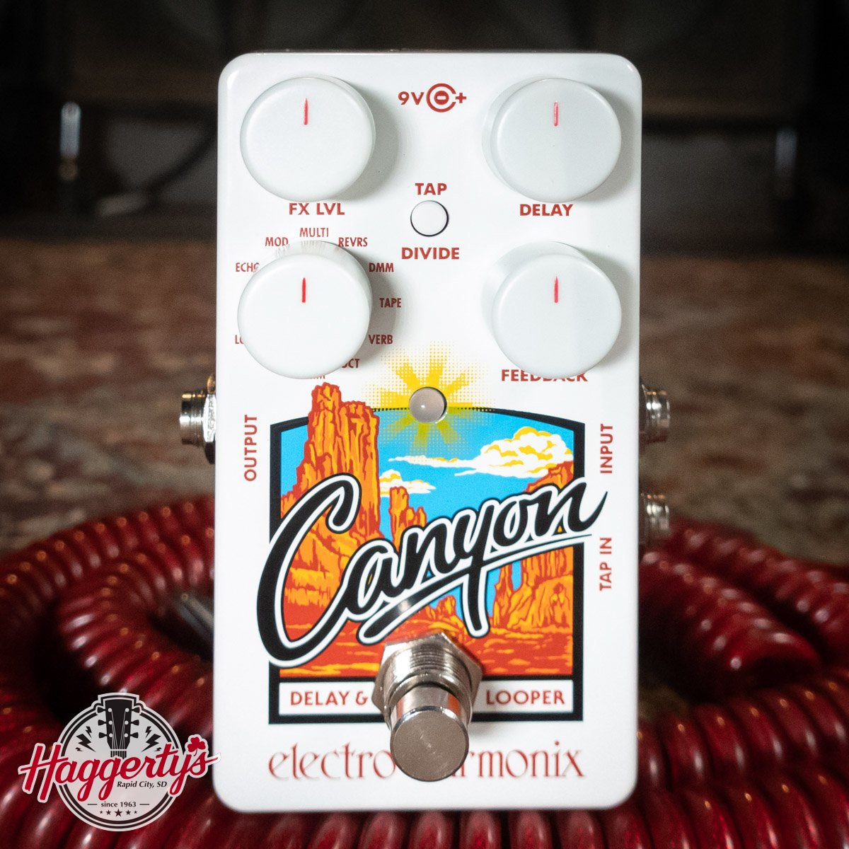 Electro-Harmonix - Canyon Delay & Looper Guitar Pedal - 683274011882