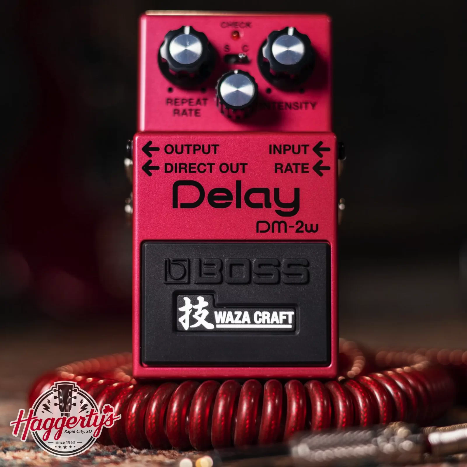 Boss DM-2W Waza Craft Analog Delay Guitar Pedal - 761294512487