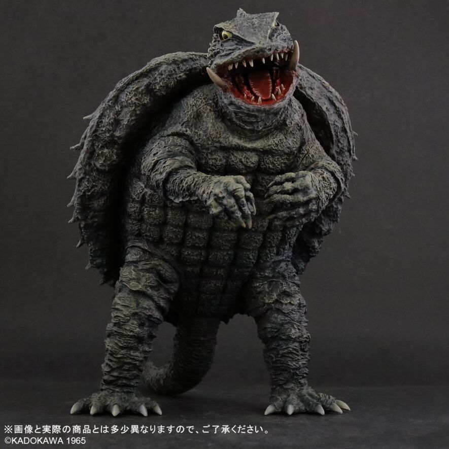fslgamera1965_3.jpg