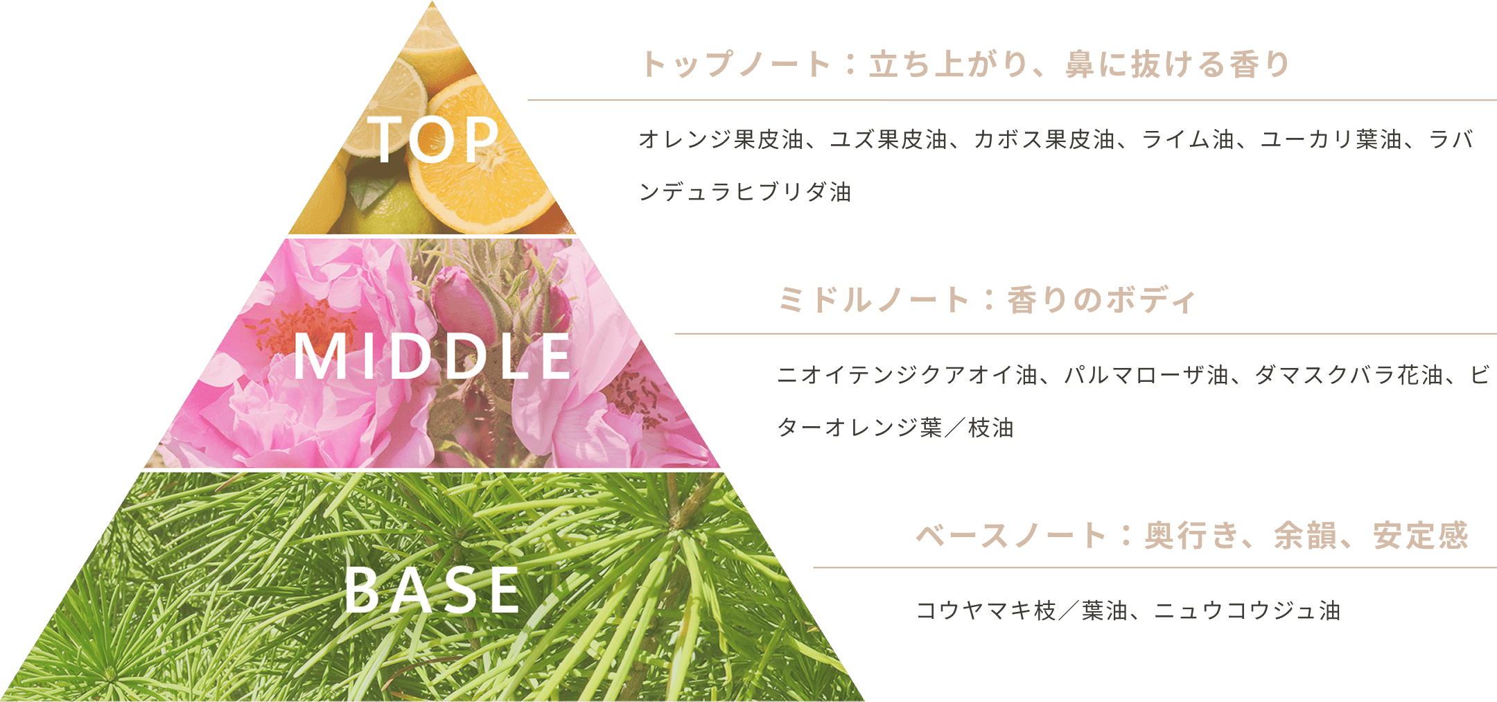 メリフィーク エッセンシャルデュオ - 【公式】MELIFIQUE | メリフィーク