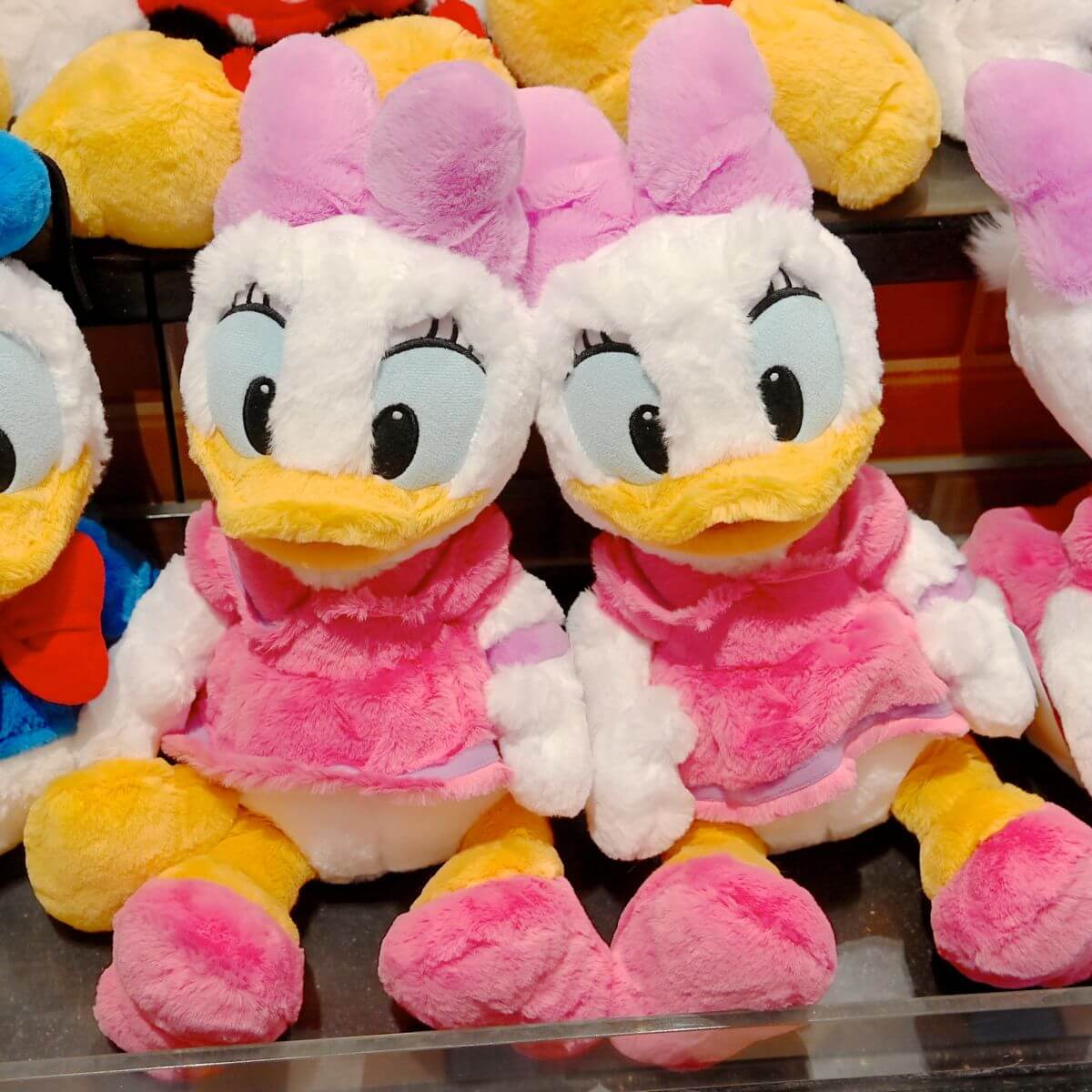 ドナルドダック&デイジーダックのふわふわぬいぐるみ！東京