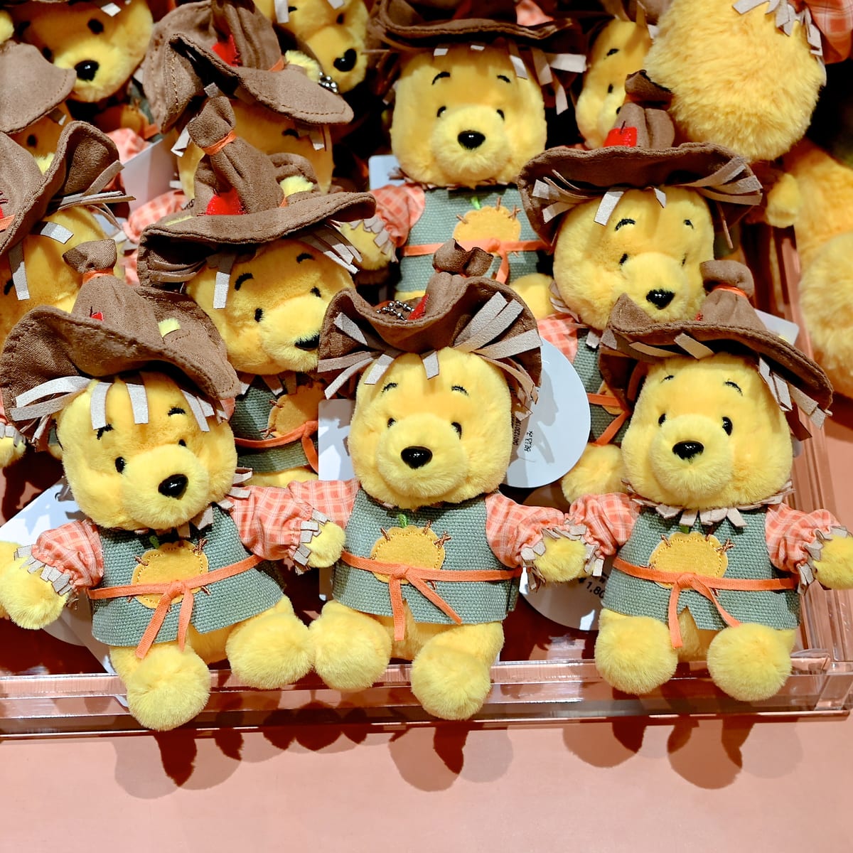 かかしになりきり！東京ディズニーランド“ディズニー・ハロウィーン