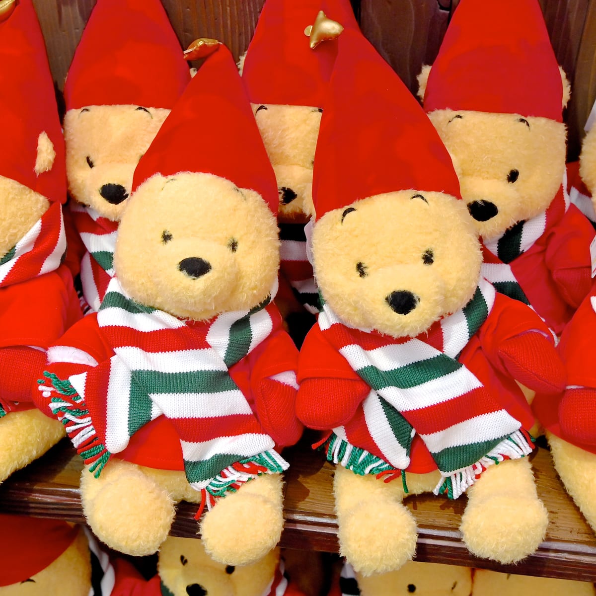 クリスマスの妖精「リルリンリン」風コスチューム！東京