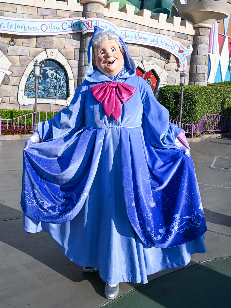 コスチュームがエレガントにリニューアル！東京ディズニーランド