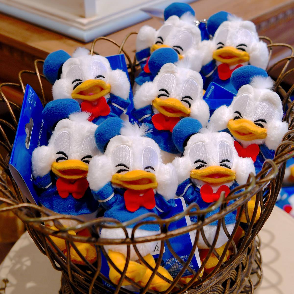 5種類の表情がかわいい☆東京ディズニーランド・ドナルドぬいぐるみ