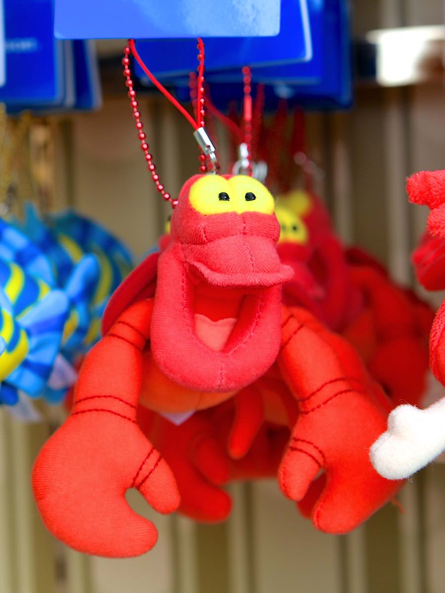 アリエル・フランダー・セバスチャンに加えマックスも！東京