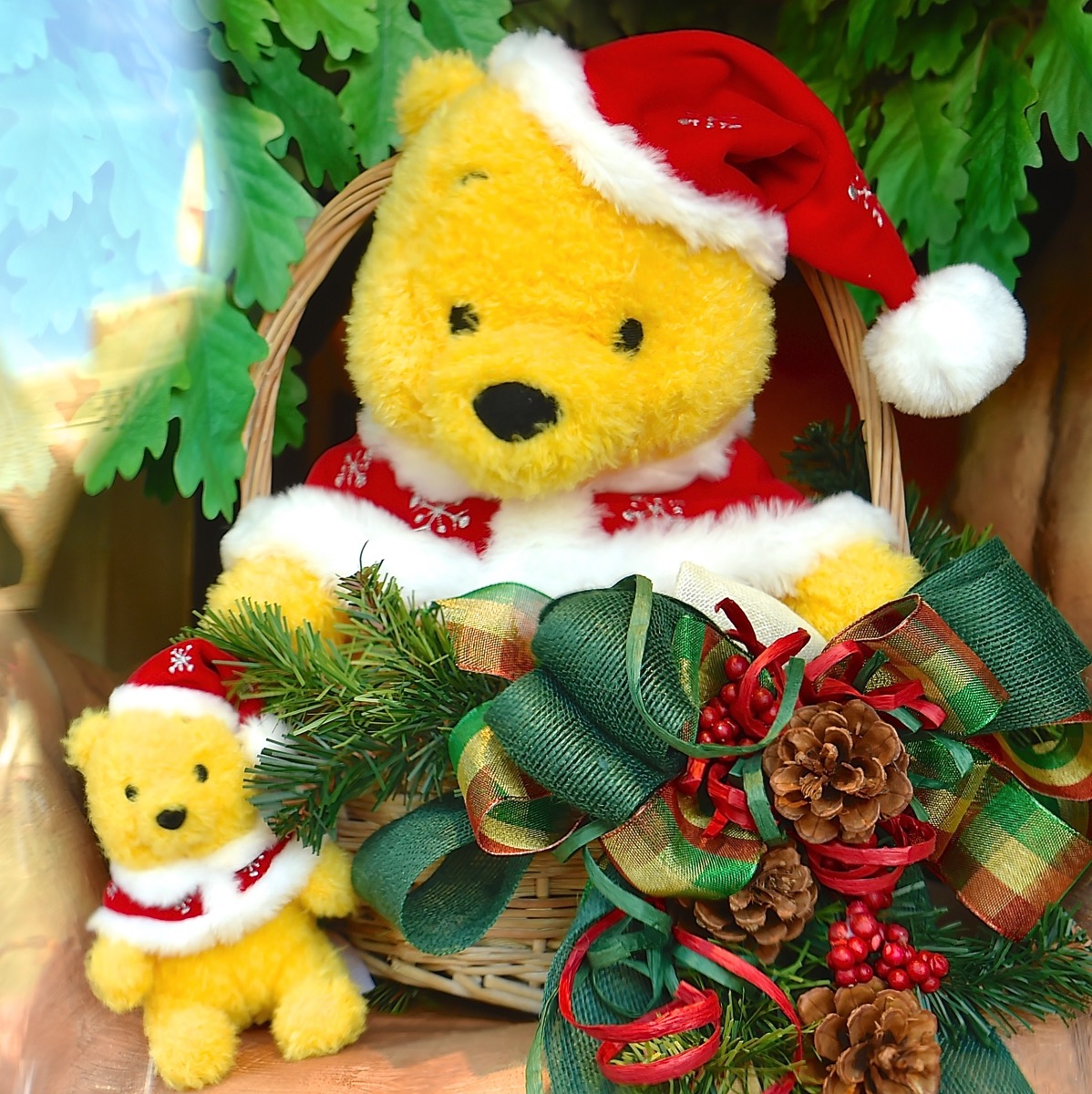 サンタ帽&マント姿がかわいい！東京ディズニーリゾート“ディズニー