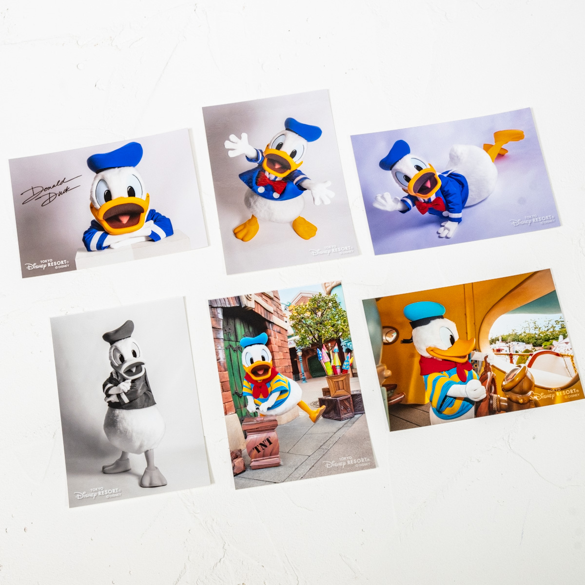 ミッキー・ミニー・ドナルド・デイジー・グーフィー！東京