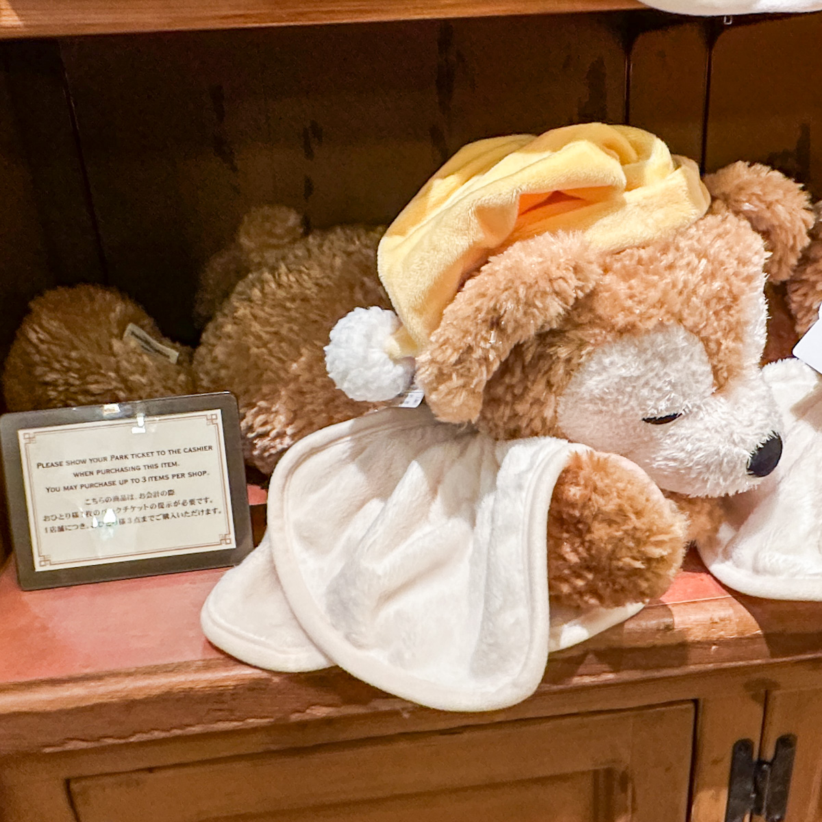 Comfy and Cozy with DUFFY！東京ディズニーシー「ダッフィー