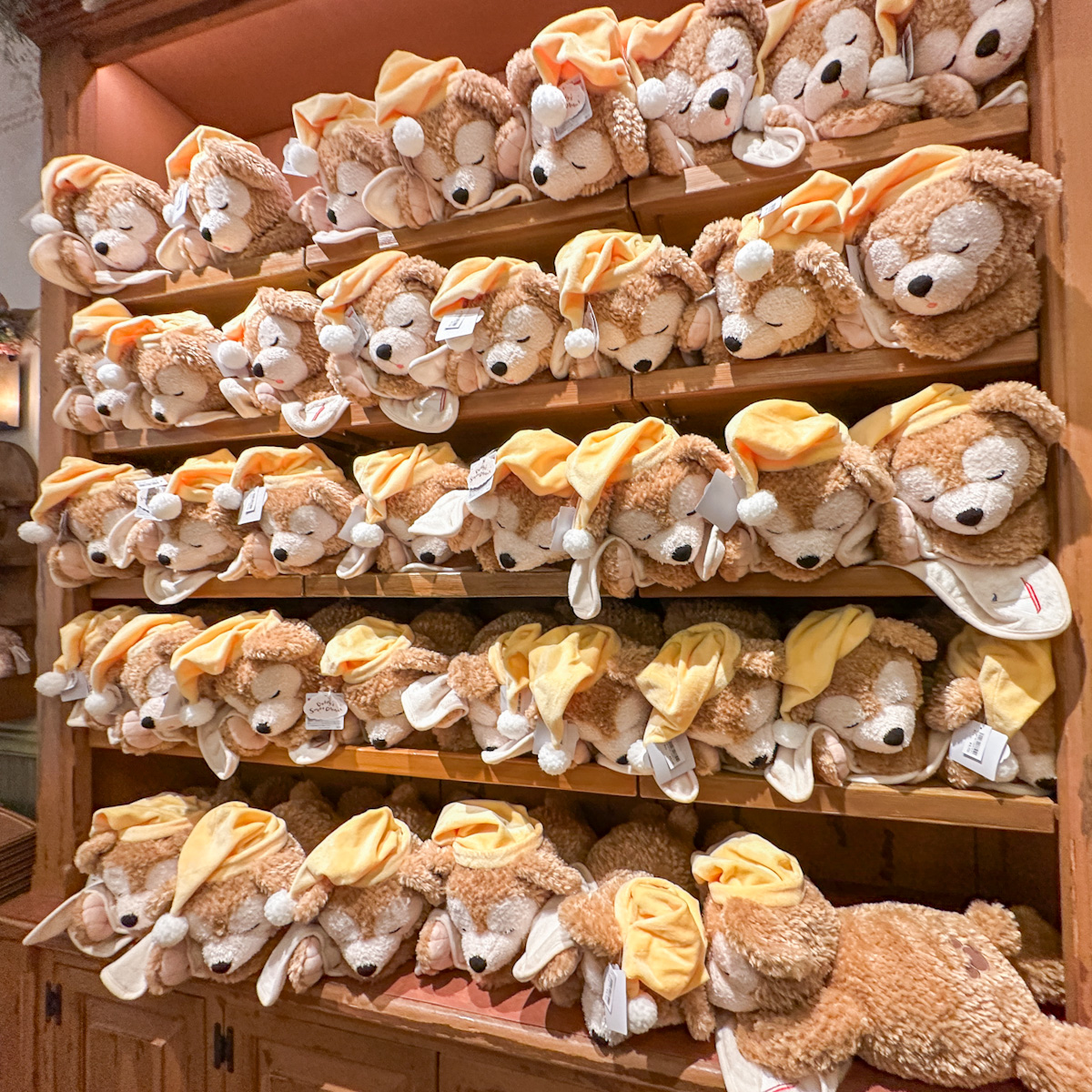 Comfy and Cozy with DUFFY！東京ディズニーシー「ダッフィー